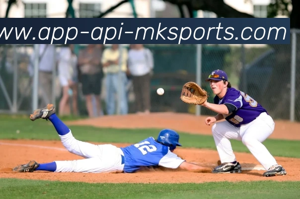 MK体育APPAPP 封面图